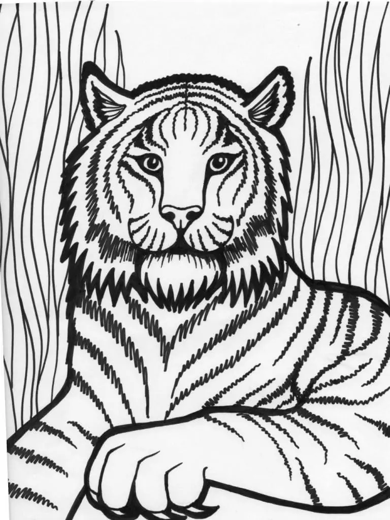 Funny Tiger Face Coloring Page - Free Printable Coloring Pages for Kids