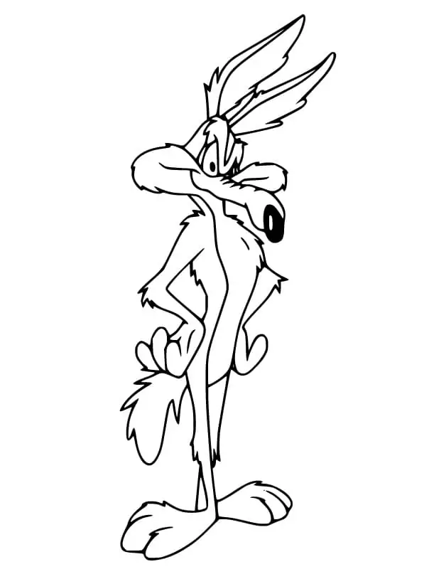 Wile E Coyote from Looney Tunes
