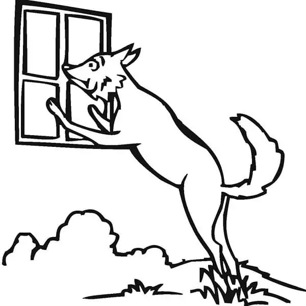 Wolf and Window