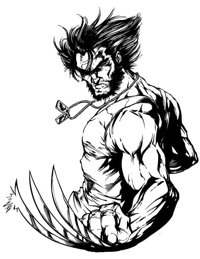 Wolverine Looks Angry