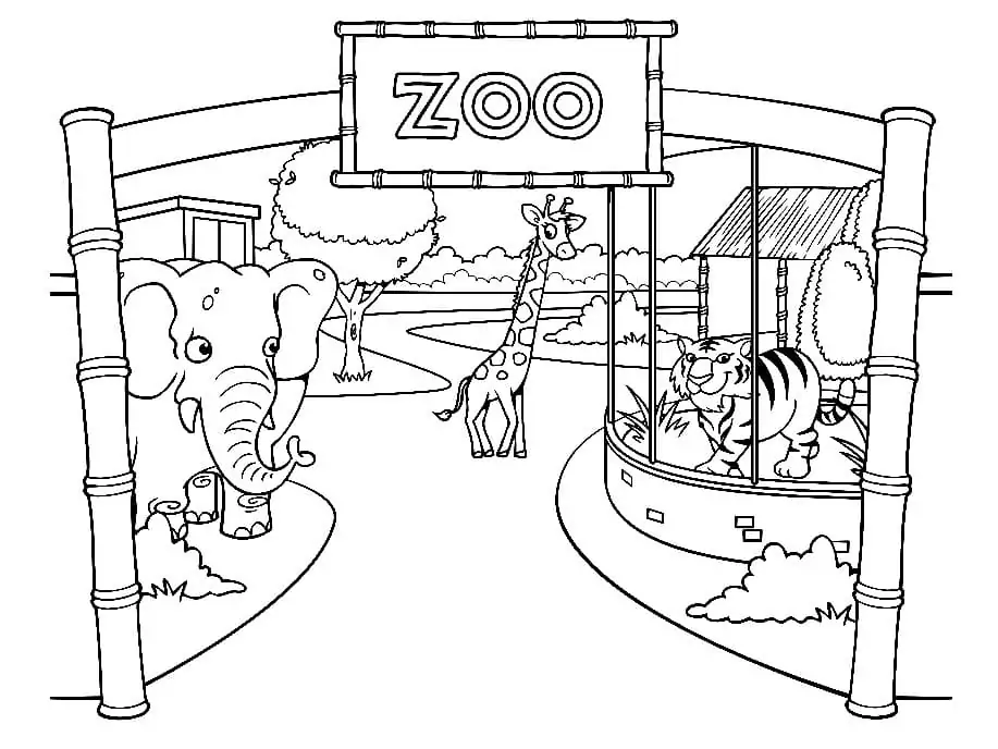 Zoo to Color
