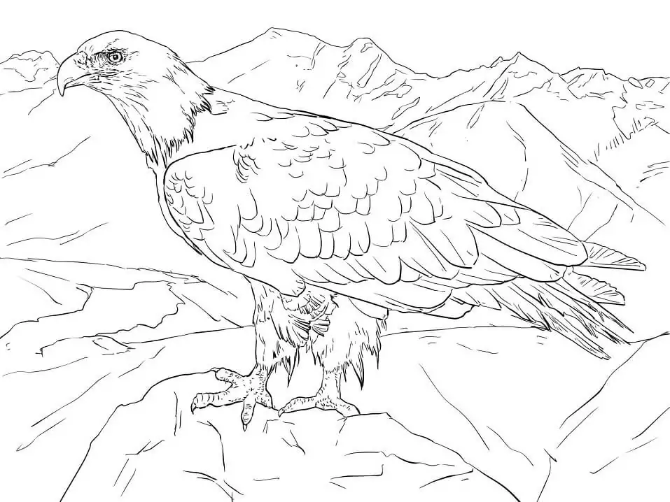 ald Eagle aus Alaska