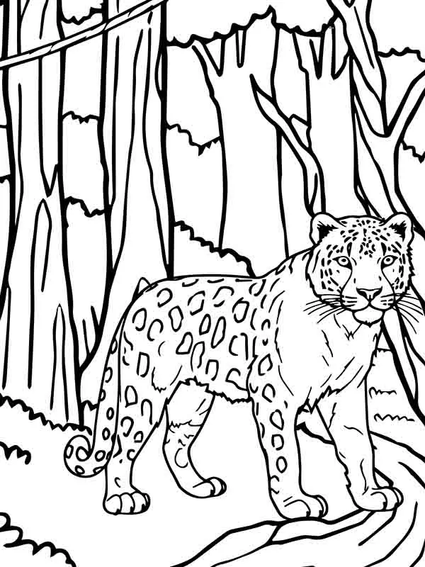 Cheetah's Graceful Stance Coloring Page - Free Printable Coloring Pages ...