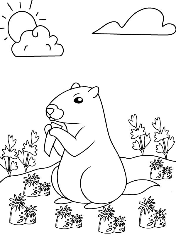 Funny Groundhog