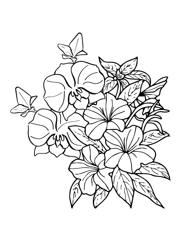 Agreeable petunia coloring page