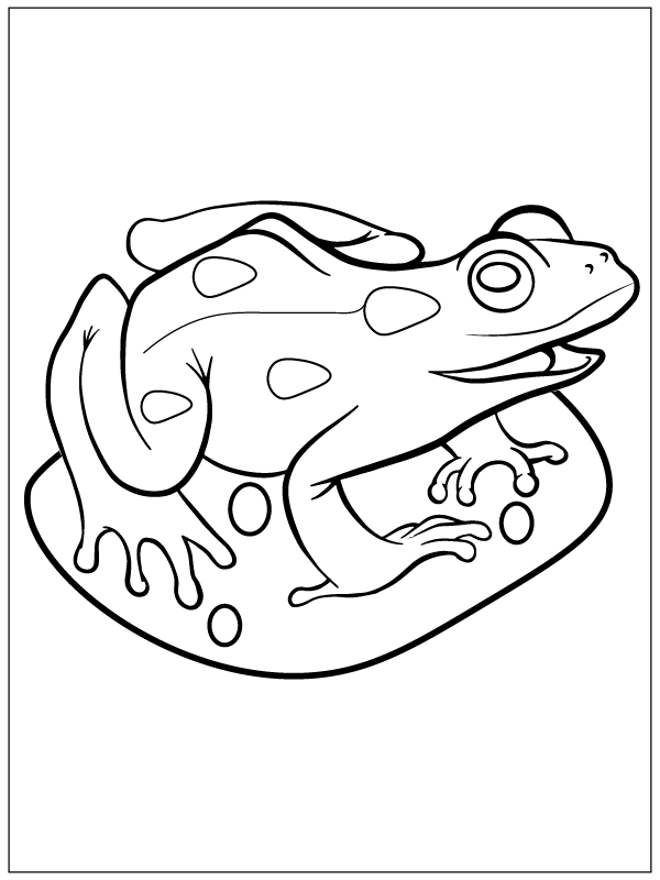 Frog Coloring Page