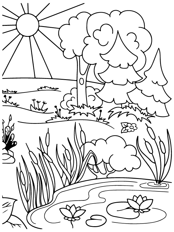 Calm Forest Pond - Coloring Pages