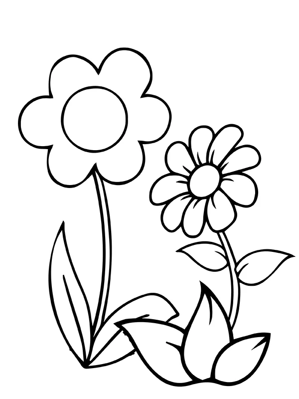 Simple Flower