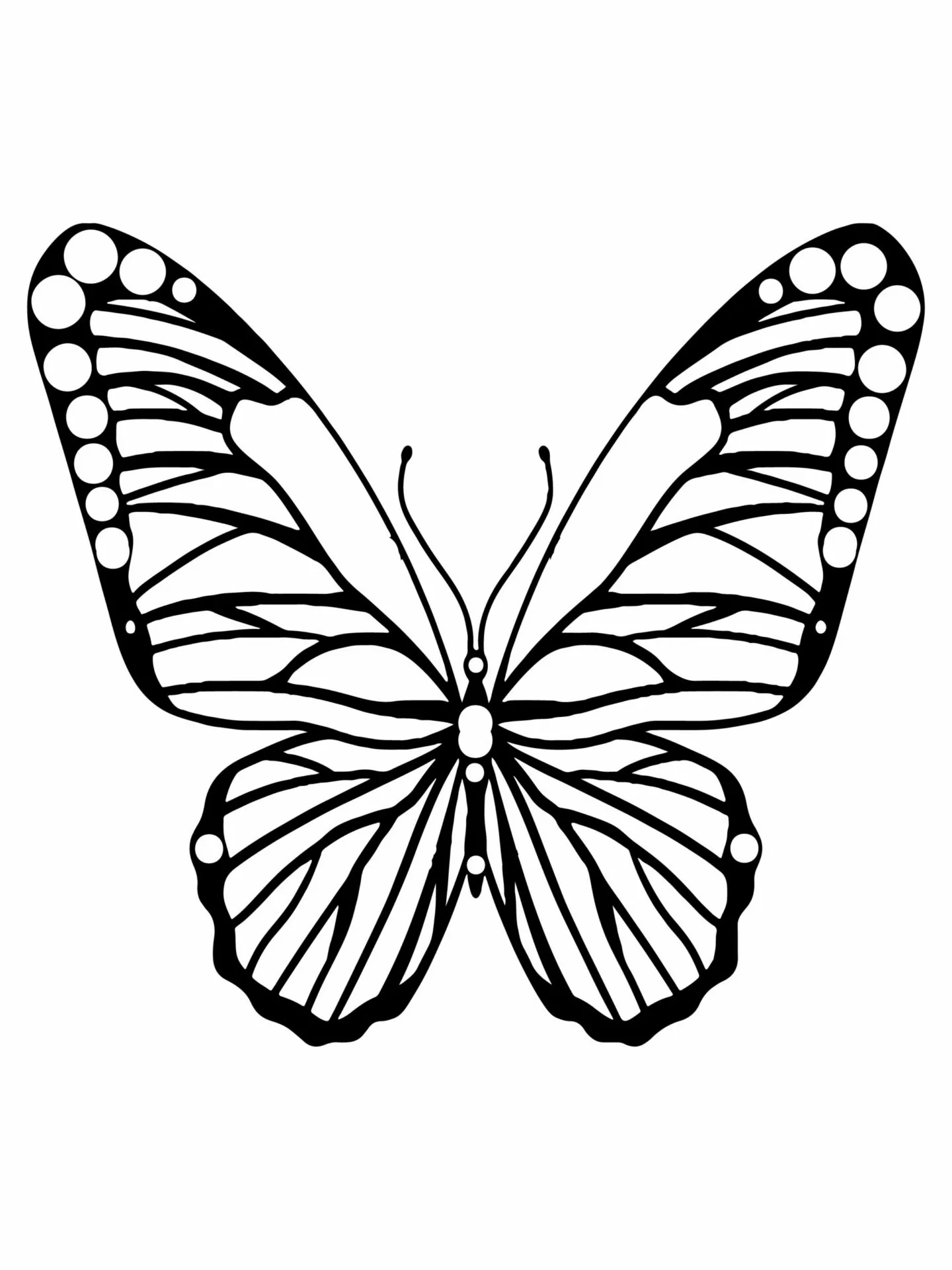 Apt Butterfly
